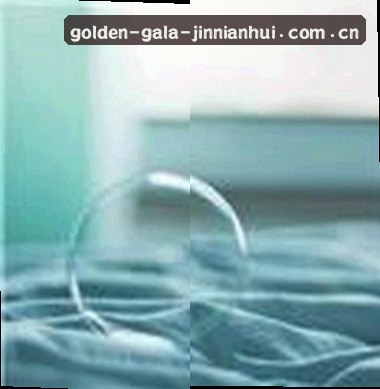 陈总